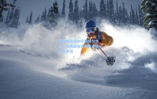 开拓者自研内外双核引热议，杨瀚森加紧训练追随大哥步伐